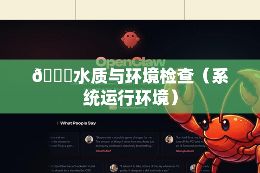 🌊水质与环境检查（系统运行环境）-第1张图片-官方openclaw下载|openclaw官网-国内ai小龙虾下载