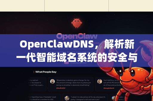 OpenClawDNS，解析新一代智能域名系统的安全与效能革命