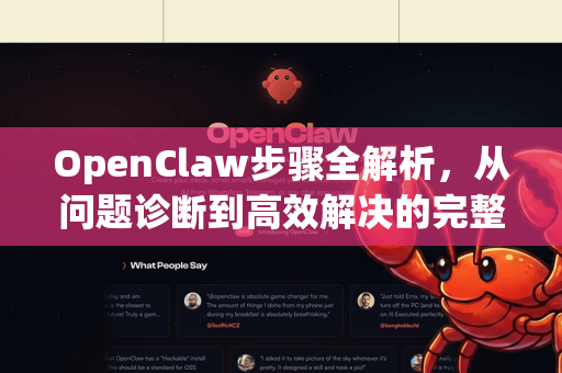 OpenClaw步骤全解析，从问题诊断到高效解决的完整路径