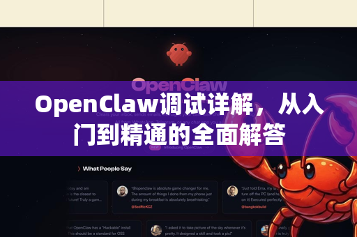 OpenClaw调试详解，从入门到精通的全面解答
