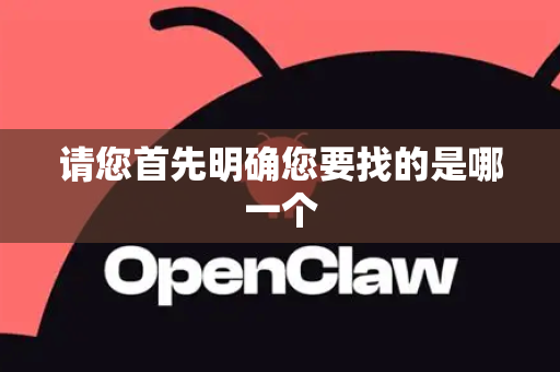 请您首先明确您要找的是哪一个-第1张图片-官方openclaw下载|openclaw官网-国内ai小龙虾下载