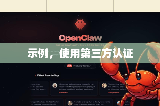 示例，使用第三方认证-第1张图片-官方openclaw下载|openclaw官网-国内ai小龙虾下载