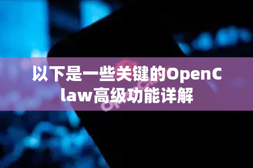 以下是一些关键的OpenClaw高级功能详解