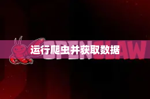 运行爬虫并获取数据