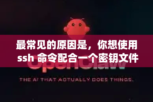 最常见的原因是，你想使用 ssh 命令配合一个密钥文件（比如 id_ed25519）登录，但错误地将密钥文件名输入在了 ssh 命令之后，形成了一个无效的命令