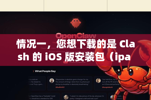 情况一，您想下载的是 Clash 的 iOS 版安装包（ipa 文件）