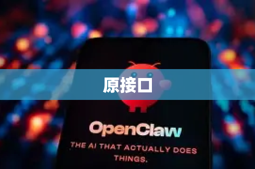 原接口