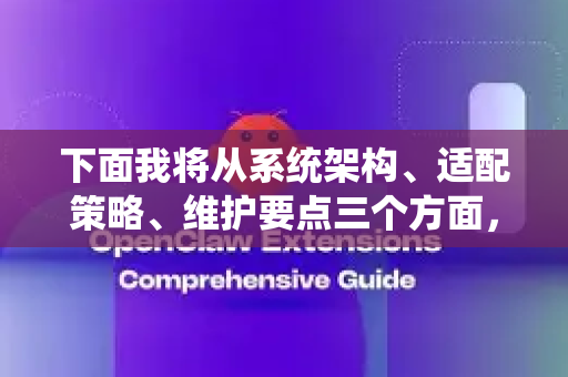 下面我将从系统架构、适配策略、维护要点三个方面，为您提供一个全面的方案解析