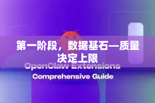 第一阶段，数据基石—质量决定上限
