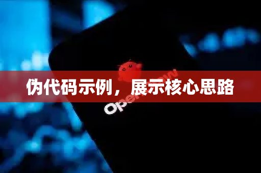 伪代码示例，展示核心思路