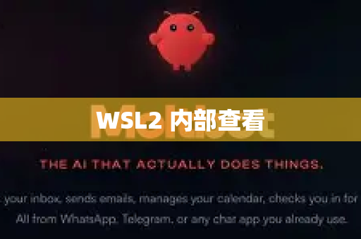 WSL2 内部查看