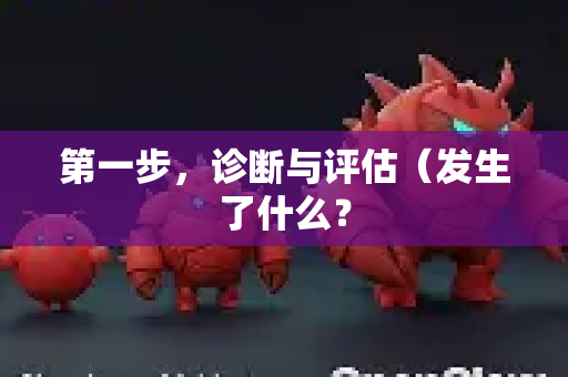 第一步，诊断与评估（发生了什么？